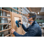 Slefuitor orbital cu excentric Bosch GEX 125-1 AE