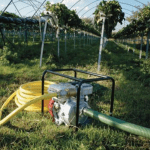 Motopompa pentru apa semi-murdara Honda WB30XT3