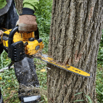 Motofierastrau fara acumulator 54V DeWalt DCMCS574N