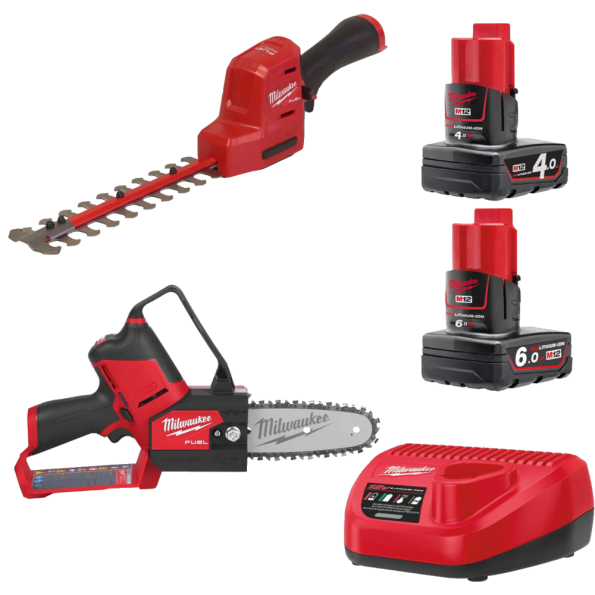 Set 2 scule cu 2 acumulatori Milwaukee M12 FPP2OP2-642
